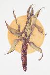 Asparagus-Deborah Kopka-Giclee Print