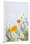 Gramercy White