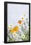 Essential Black