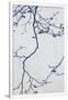 Gramercy White