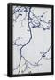 Essential Black