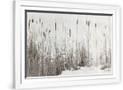 Gramercy White