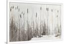 Gramercy White