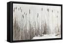 Framed Canvas