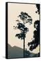 Canvas Black