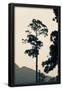 Essential Black