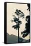 Canvas Black