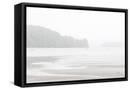 Framed Canvas