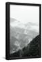 Essential Black