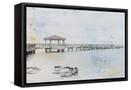 Framed Canvas