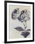Gramercy Black
