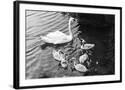 Chelsea Black