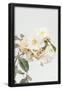 Essential Black
