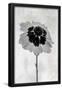 Essential Black
