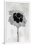 Gramercy White