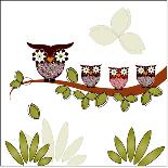 Owl On A Branch-Debra Hughes-Stretched Canvas