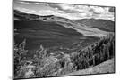 Wood Mount