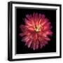 Black Frame