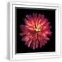 White Frame