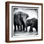 Brown Frame