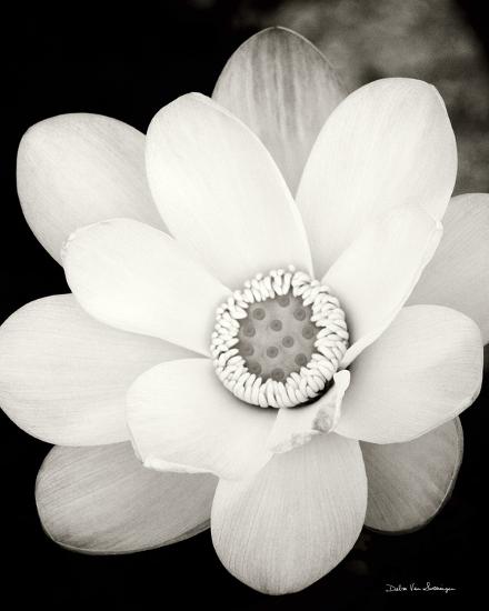 Photo, , large