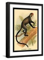 Debrazza's Guenon-G.r. Waterhouse-Framed Art Print