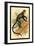 Debrazza's Guenon-G.r. Waterhouse-Framed Art Print