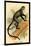 Debrazza's Guenon-G.r. Waterhouse-Mounted Art Print