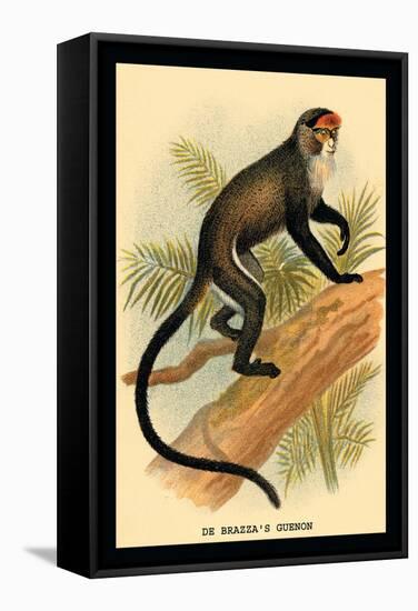 Debrazza's Guenon-G.r. Waterhouse-Framed Stretched Canvas