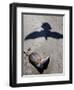 Debris from Hurricane Ike, Padre Island National Seashore, TX-null-Framed Photographic Print