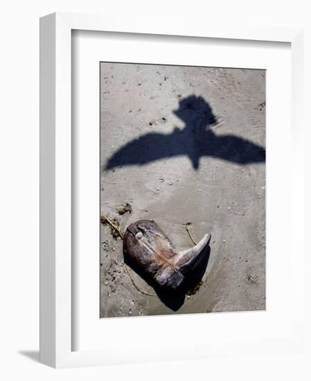 Debris from Hurricane Ike, Padre Island National Seashore, TX-null-Framed Photographic Print