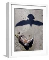 Debris from Hurricane Ike, Padre Island National Seashore, TX-null-Framed Photographic Print