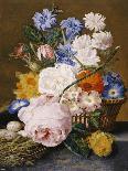 Roses, Morning Glory, Narcissi, Aster and Other Flowers in a Basket with Eggs in a Nest, 1744-Dec Van Huysum-Framed Stretched Canvas