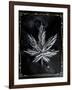 Decades Of Weed-JJ Brando-Framed Art Print