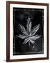 Decades Of Weed-JJ Brando-Framed Art Print