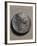 Decadrachm of Syracuse Depicting a Female Head-null-Framed Giclee Print
