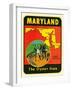 Decal for Maryland-null-Framed Art Print