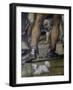 Decapitation of Nicholas of Tuldo, 1526, Sodoma-null-Framed Giclee Print