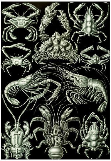Poster, , large