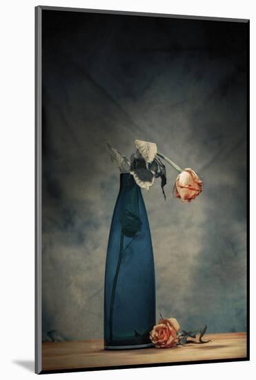 Decay - Dying Rose-Howard Ashton-Jones-Mounted Photographic Print