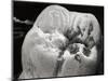 Decay on Molar Tooth, SEM-David McCarthy-Mounted Photographic Print