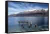 Decayed jetty, old wooden posts in Lake Wakatipu at Glenorchy, New Zealand-Ed Rhodes-Framed Stretched Canvas