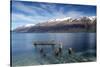 Decayed jetty, old wooden posts in Lake Wakatipu at Glenorchy, New Zealand-Ed Rhodes-Stretched Canvas