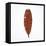 Decaying Leaf-Clive Nolan-Framed Stretched Canvas