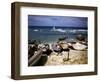 December 1946: a Fishing Fleet at Bathsheba, Barbados-Eliot Elisofon-Framed Photographic Print