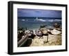 December 1946: a Fishing Fleet at Bathsheba, Barbados-Eliot Elisofon-Framed Photographic Print