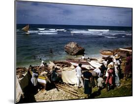 December 1946: a Fishing Fleet in Bathsheba, Barbados-Eliot Elisofon-Mounted Photographic Print