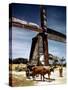 December 1946: a Herder with His Cattle Oxen in Front of an Old Windmill in Barbados-Eliot Elisofon-Stretched Canvas