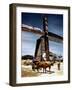 December 1946: a Herder with His Cattle Oxen in Front of an Old Windmill in Barbados-Eliot Elisofon-Framed Photographic Print