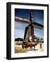 December 1946: a Herder with His Cattle Oxen in Front of an Old Windmill in Barbados-Eliot Elisofon-Framed Photographic Print